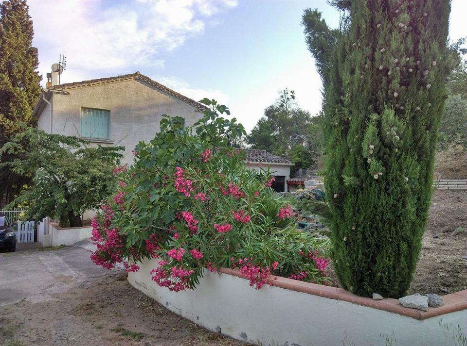 Gite Avec Vue Imprenable Sur La Cite Villa Carcassonne Exterior photo